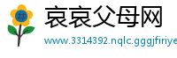 哀哀父母网